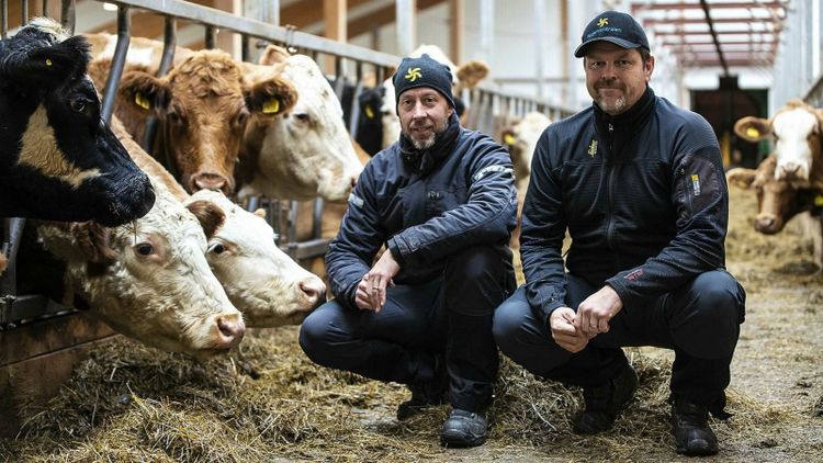 Två gårdar blev ett bolag