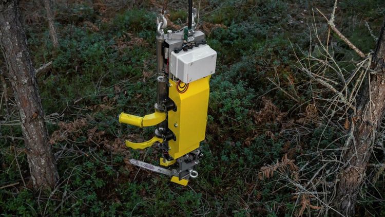 Nu börjar Airforestry flyga med sin gallringsdrönare