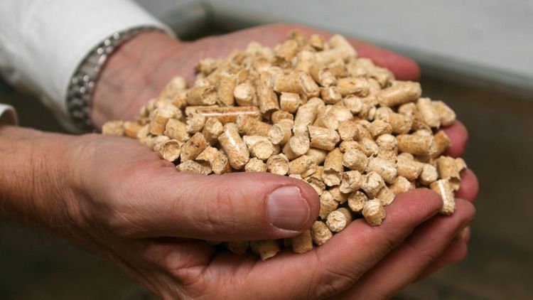 ”EU-kommissionen måste sluta motarbeta biobränslen”