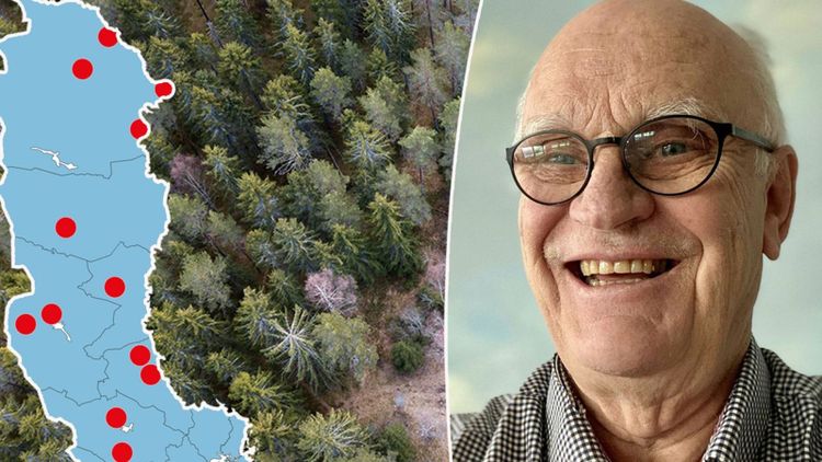 Han har köpt skog för 340 miljoner – på ett halvår