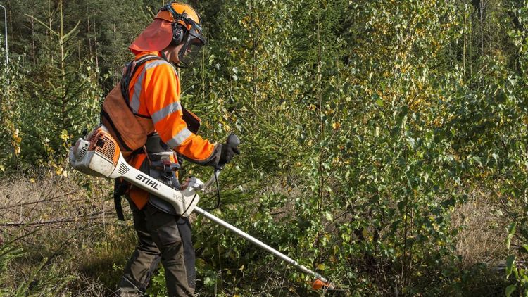Brist på arbetskraft kommer att försena röjningen