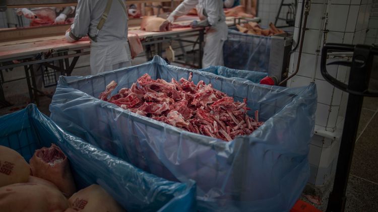 Europeiskt griskött lagras i väntan på bättre tider