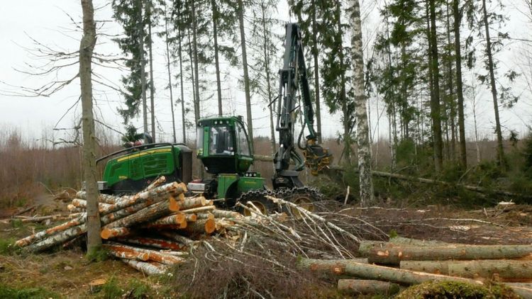 ”Alla företag i branschen överlever inte hösten”