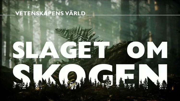 SVT:s skogsserie fälls för sakfel