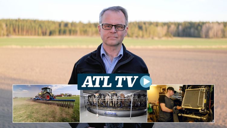 ATL TV: Skorpbrytning, kosatsning och nya mekaniker