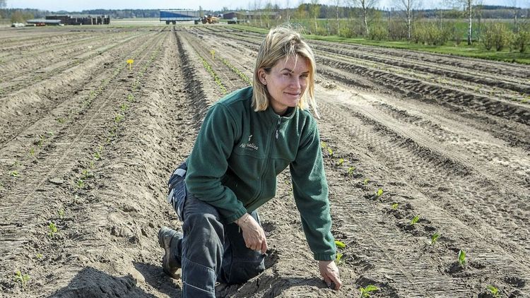 ”Stadsodling är inte lösningen”