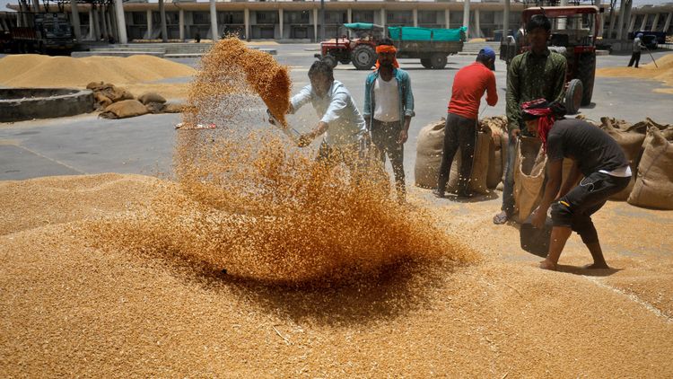 Rusande vetepriser efter Indiens exportstopp