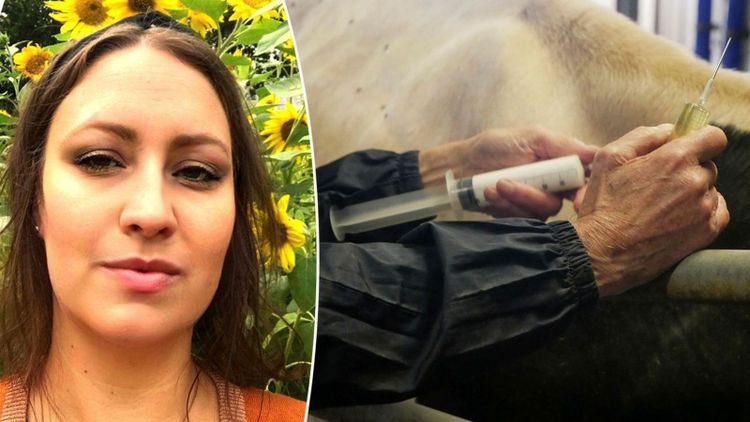 Larmet: Veterinärbristen kan äventyra djurskyddet
