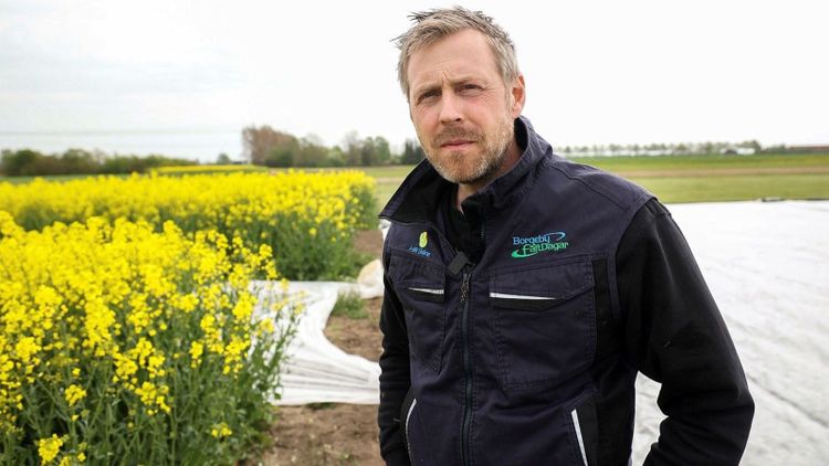 Vall och grovfoder i fokus när Borgeby bjuder in publiken