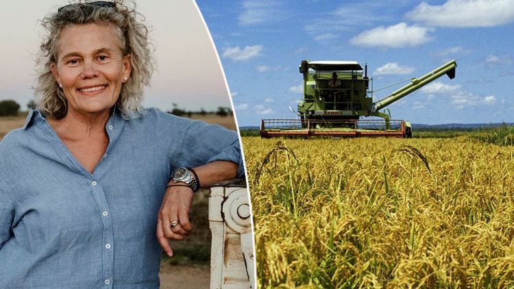 Rejält uppsving för jordbruket i Australien