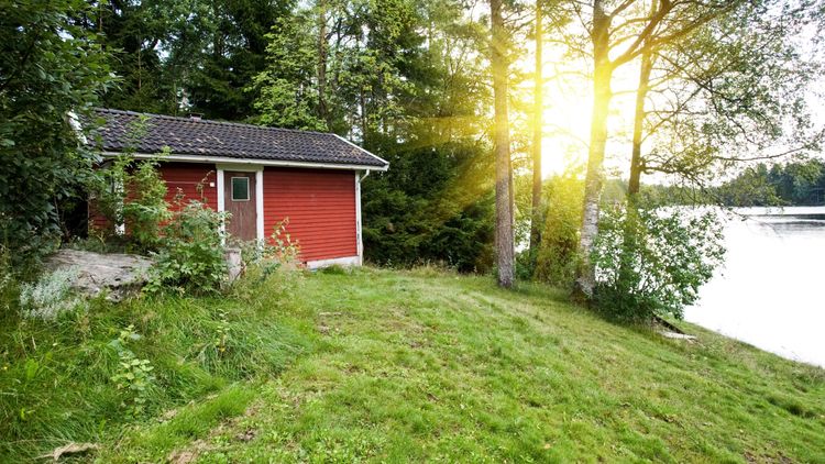”Låt skogsägarna bygga i skog och mark”