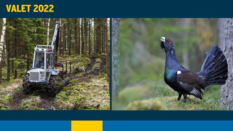 EU och artskydd förenar – och splittrar – partierna