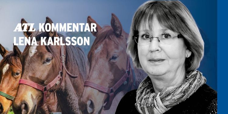 ”Momsfrågan hotar och utmanar hästnäringen”