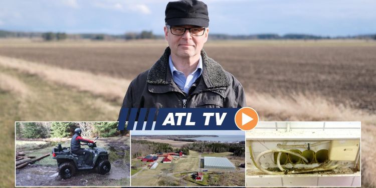 ATL TV: De satsade stort på grönsaker