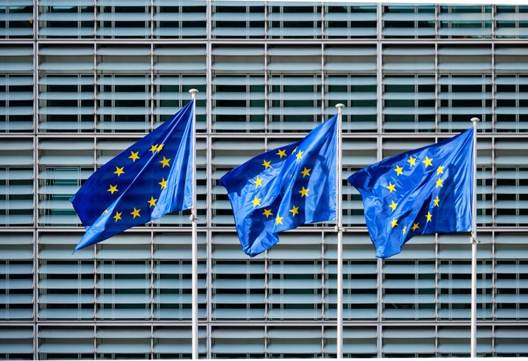 En tredjedel av EU:s skogar finns i Sverige och Finland och där tycker EU-kommissionen att trakthyggesbruk ska undvikas framöver.