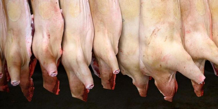 Slakteri fälls för miljöbrott – ska betala 50 000 i böter