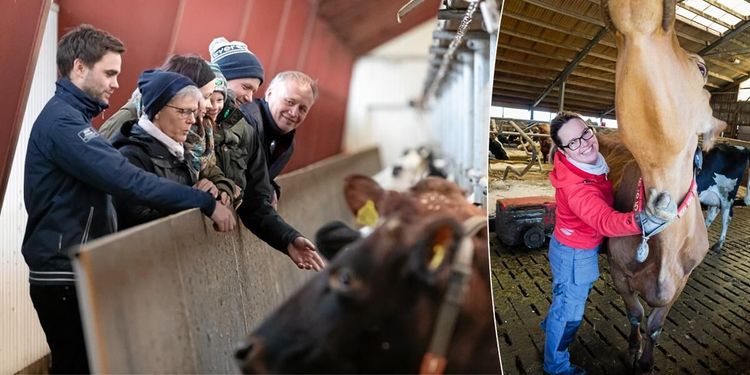 14 företag: Så klarade vi generationsskiftet