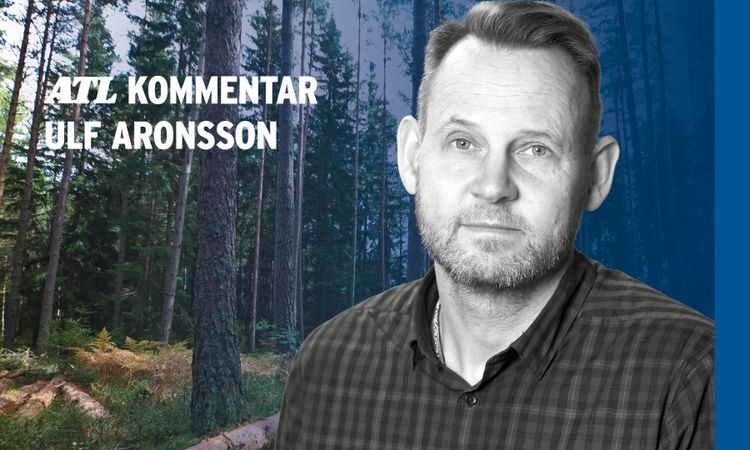 Vd-uppdrag i Sveaskog: Leverera mer av allt
