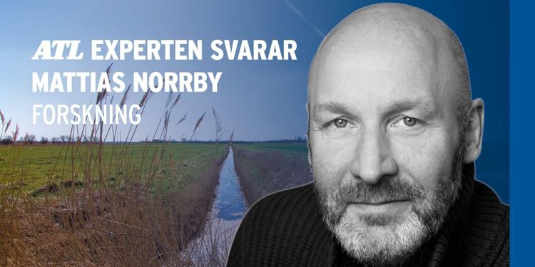 ”Lönar det sig att bevattna vallarna?”