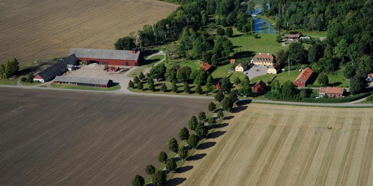 Nya taxeringsvärden för 356 000 lantbruksfastigheter