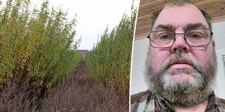Fick nej till energiskog – får en miljon av staten