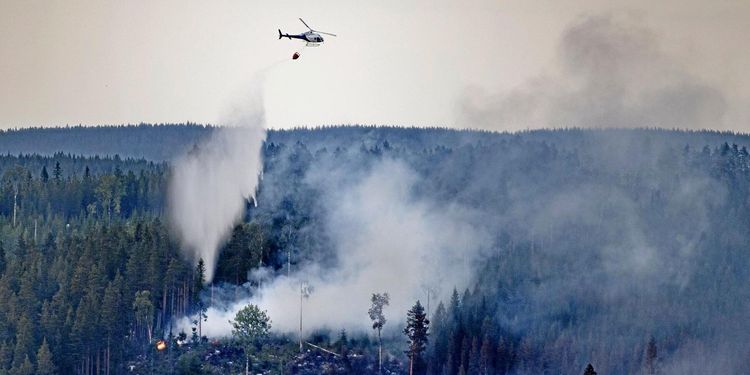 Säsong för gräs- och skogsbränder samtidigt