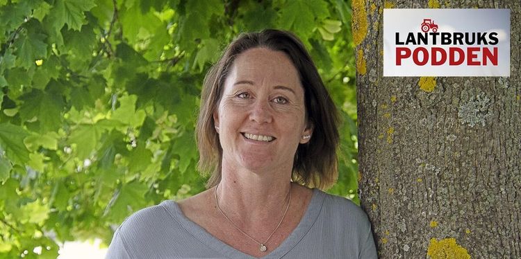 Dags att deklarera lantbruksfastigheten