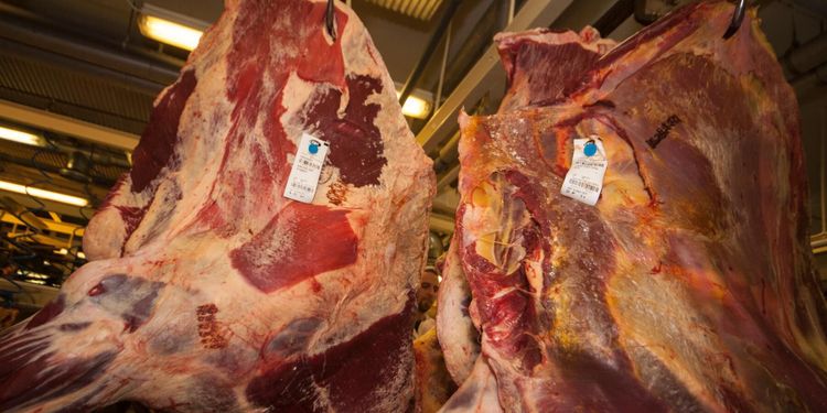 Besked: Inga nya pengar för att hjälpa slakterier