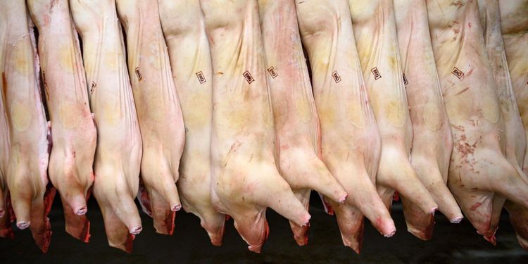 Nytt vitesföreläggande för kritiserat slakteri