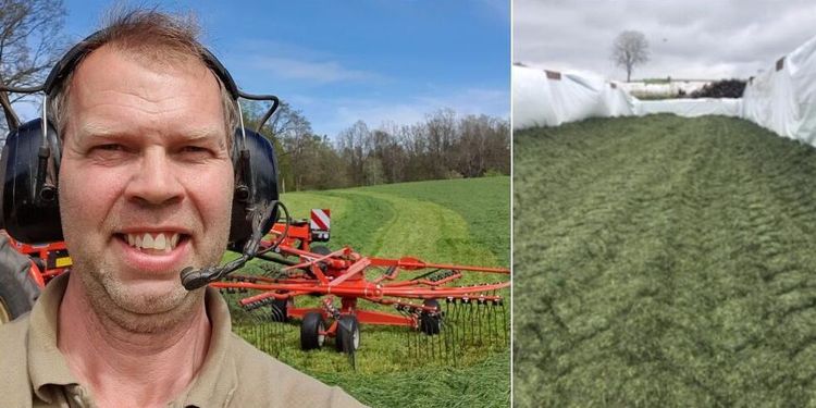 Dags för första vall i söder: ”Ett jättestort beslut att ta”