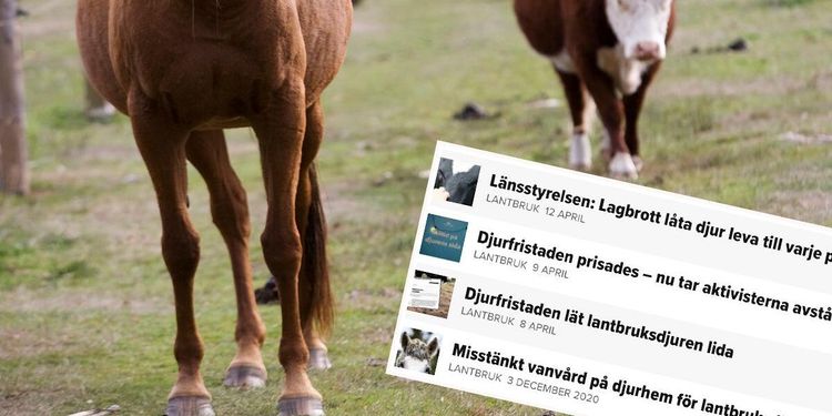 Samtliga djur på djurfristad ska omhändertas