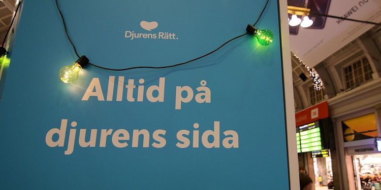 Djurfristaden prisades – nu tar aktivisterna avstånd