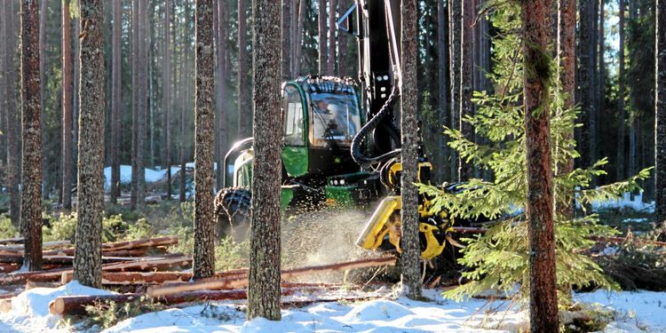 Gröna näringarna beroende av invandrad arbetskraft