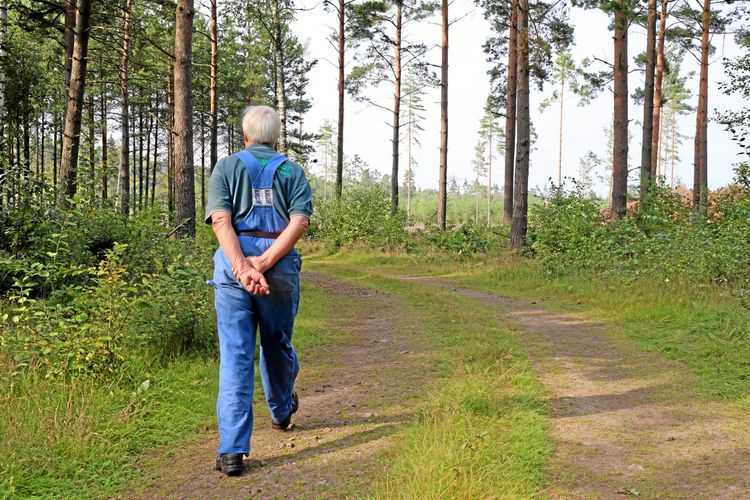 Äldre man i snickarbyxor som vandrar bort från kameran på en liten skogsväg.
