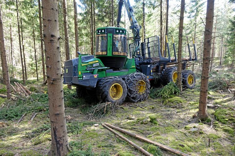 Skotare i skogen.