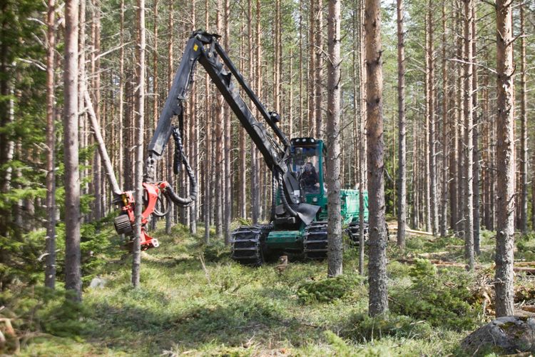 Skogsmaskin i arbete.