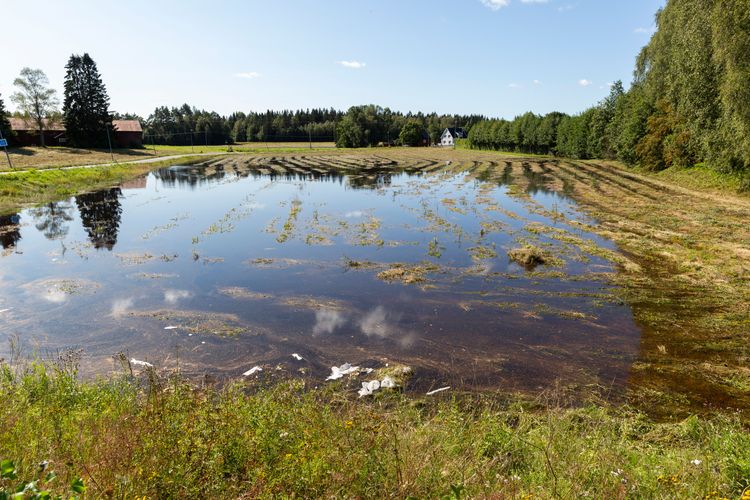 Översvämmad åker.