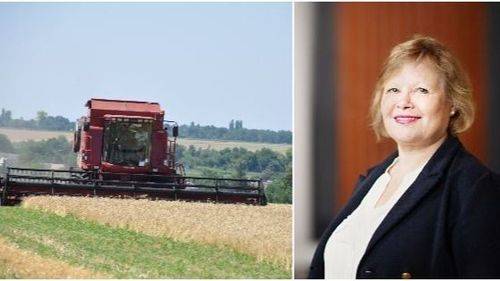 Allt färre sysselsatta inom jordbruket