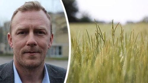 Renkavlen sprider sig – behandlingen biter inte