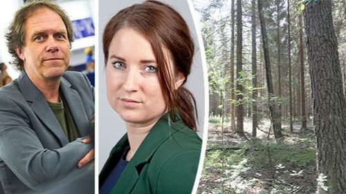 Starka reaktioner på nya skogsstrategin
