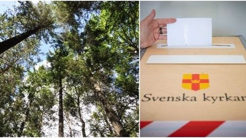 Strid om skogen i kyrkovalet