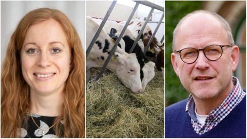 Hur ska mjölkproducenter arbeta med hållbarhet?