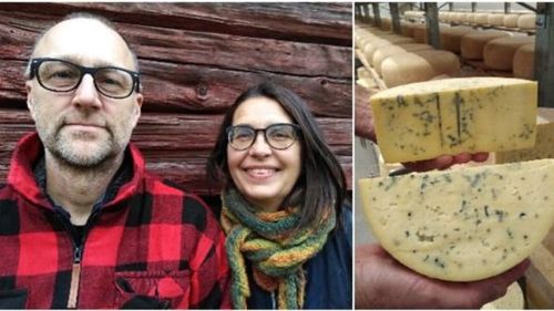 Deras ost platsar både på festernas fest och söderfik