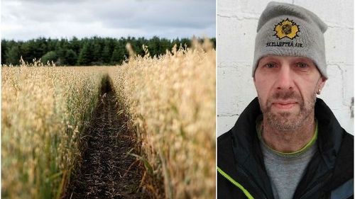 Havreodlare i norr drömmer om att odla för livsmedel