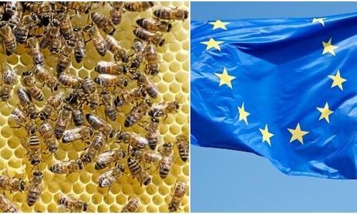 EU-kommissionen kritiseras för mörkande av bi-konflikt