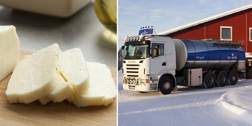 Norrmejerier ska producera svensk halloumi