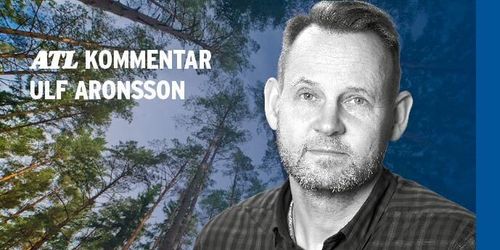 Svårslagen utveckling för skogsmark