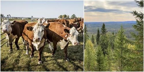 Jord och skog glöms bort när hållbarhetsmakt rankas