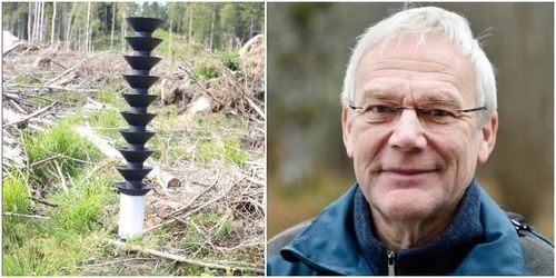 Granbarkborrfällor har ingen bevisad effekt