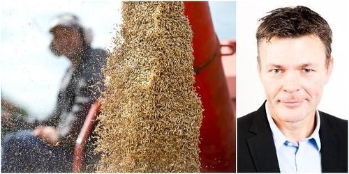 Forskare: Gröna näringarna måste ta mer plats